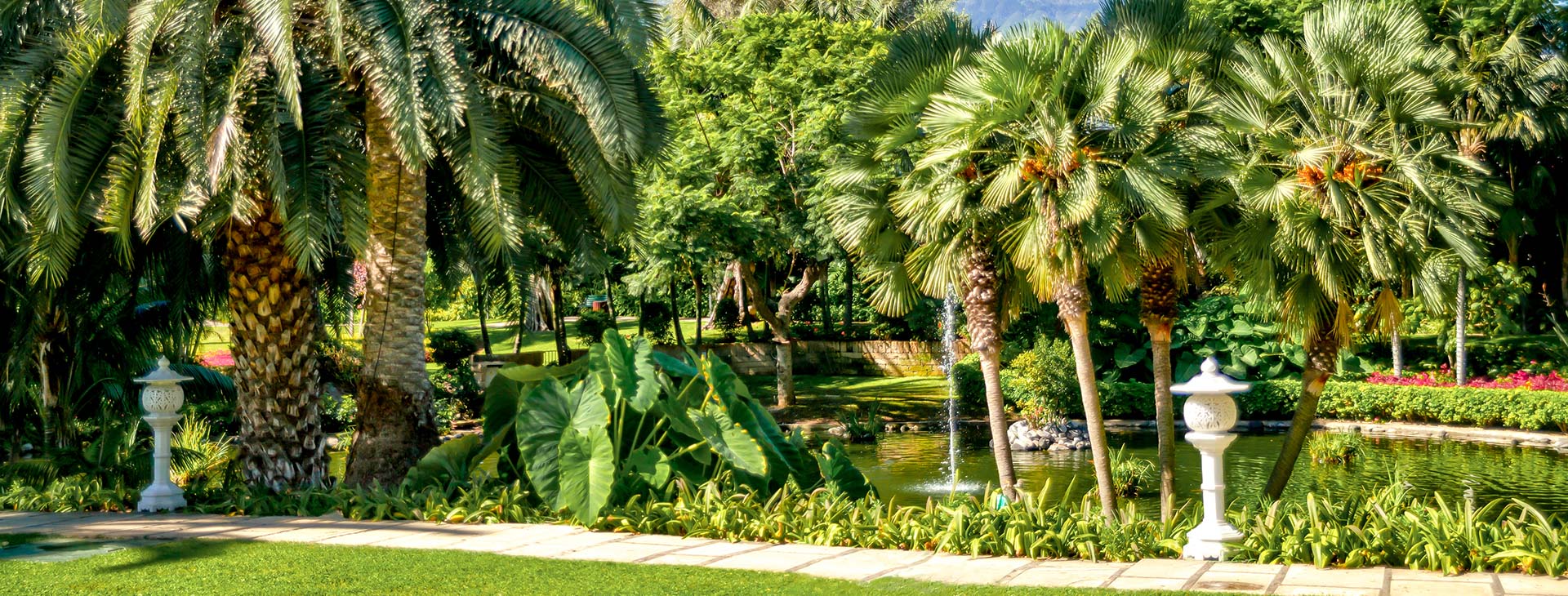Hotel Botanico & The Oriental Spa Garden Obrázek9