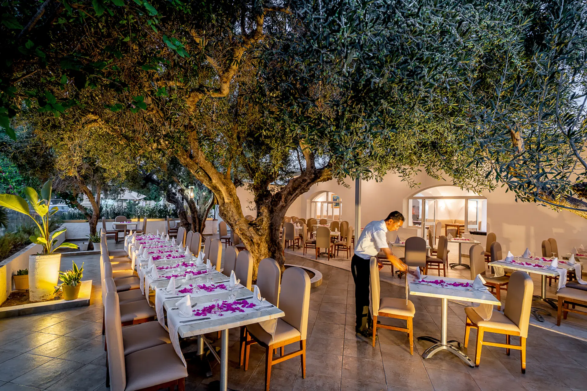 Le Hammamet Hotel & Spa Obrázek28