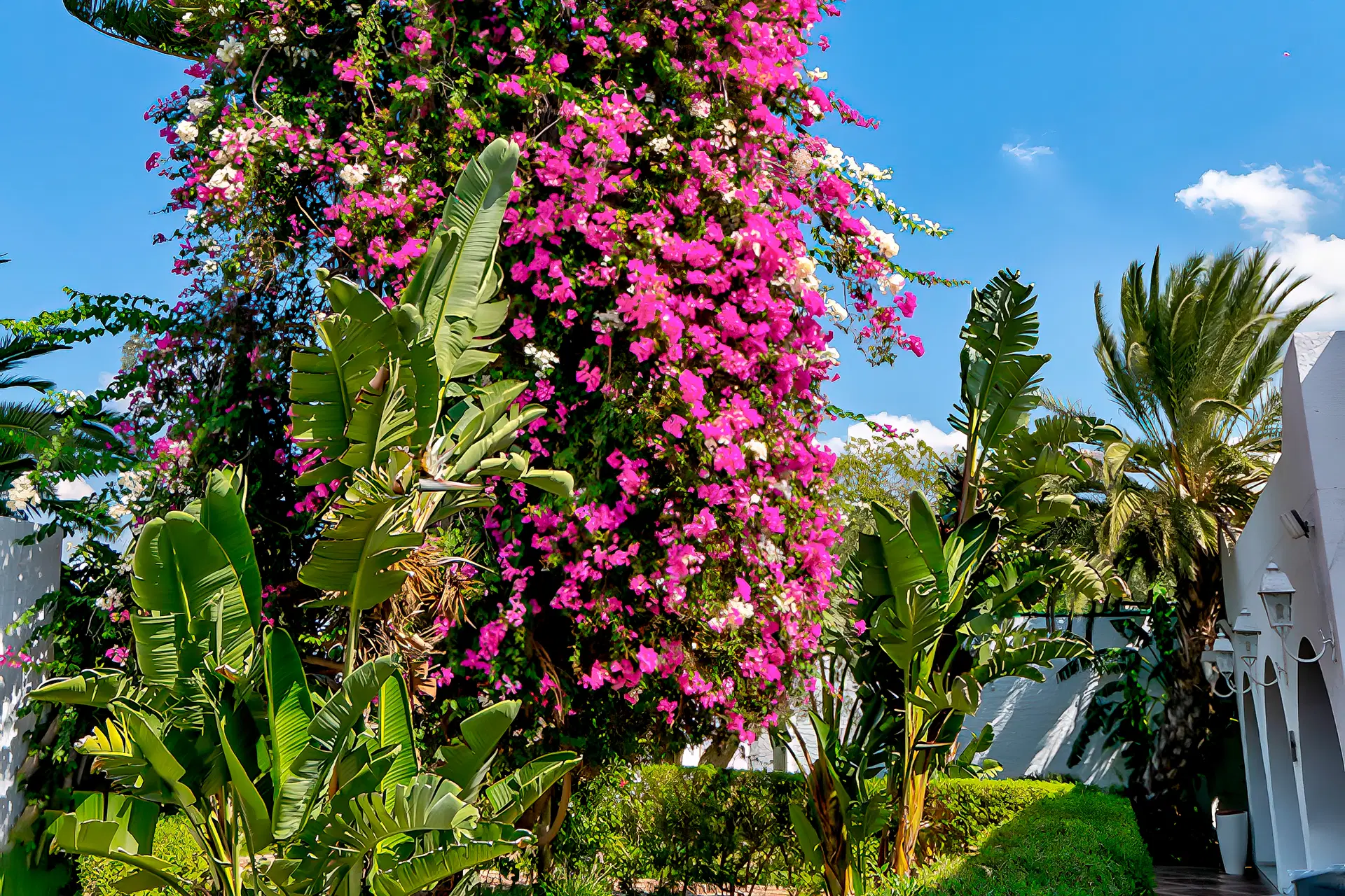 Le Hammamet Hotel & Spa Obrázek40