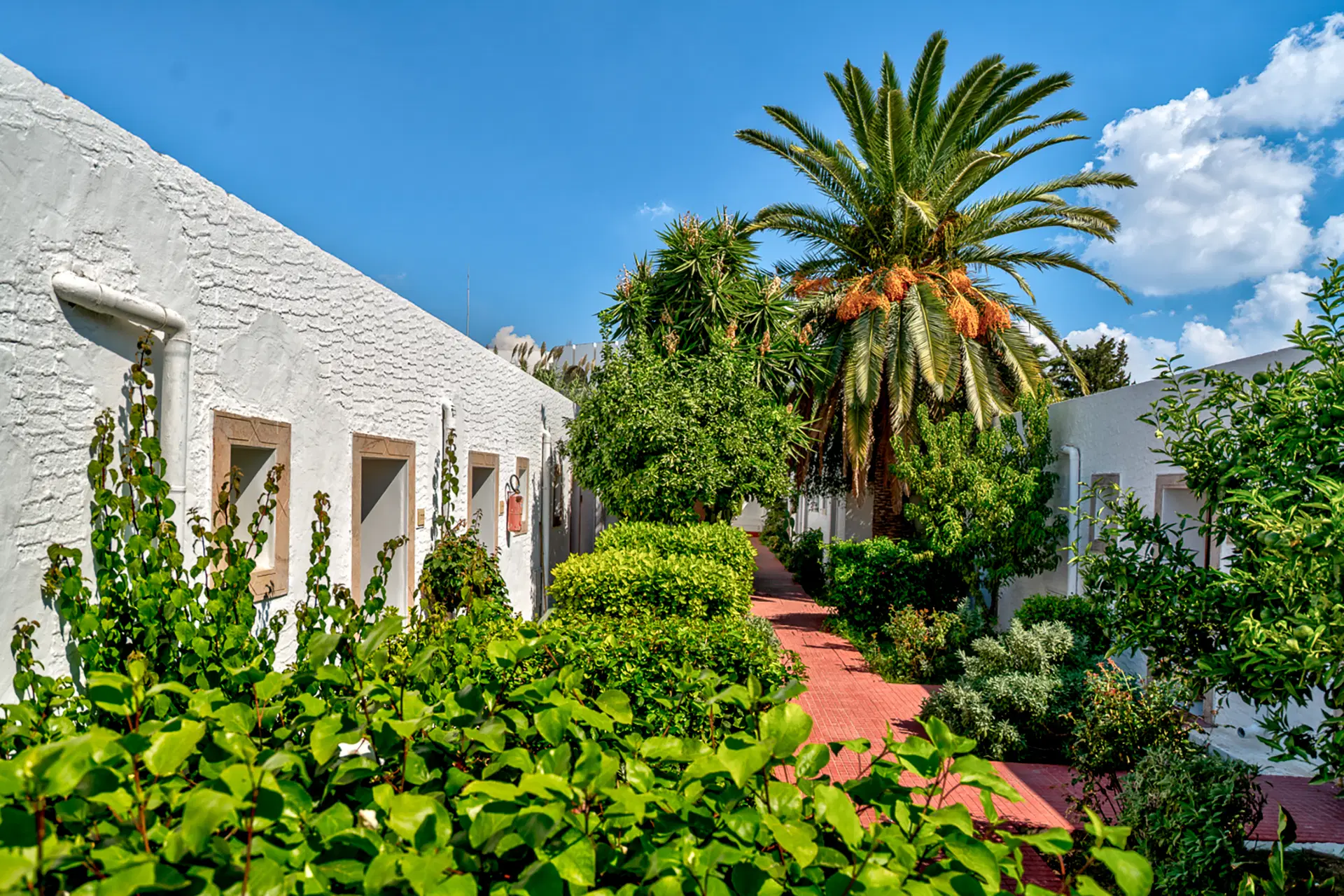 Le Hammamet Hotel & Spa Obrázek44