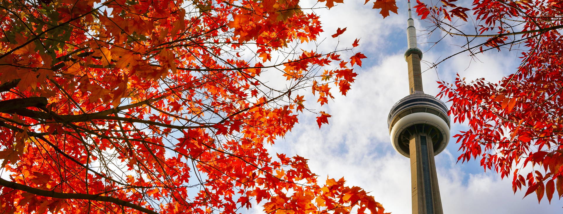 Ubytování UMB Obrázek1