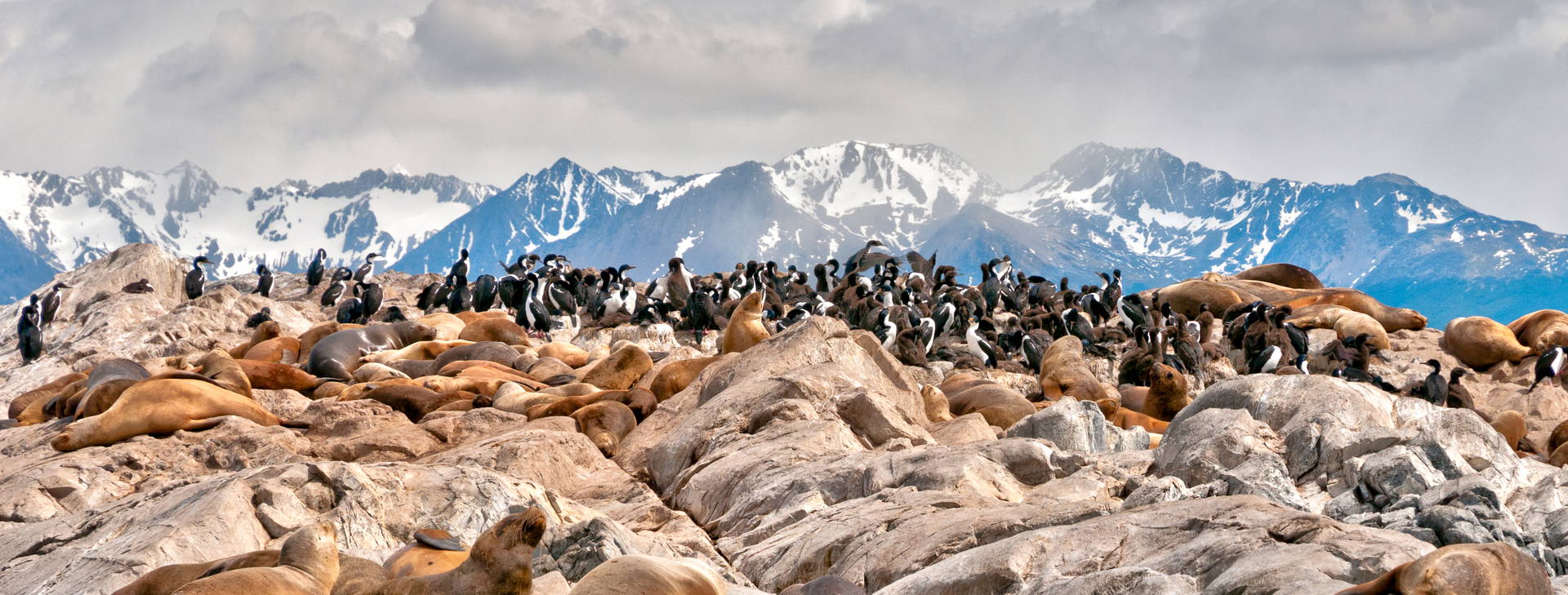 Ubytování ARP Obrázek1