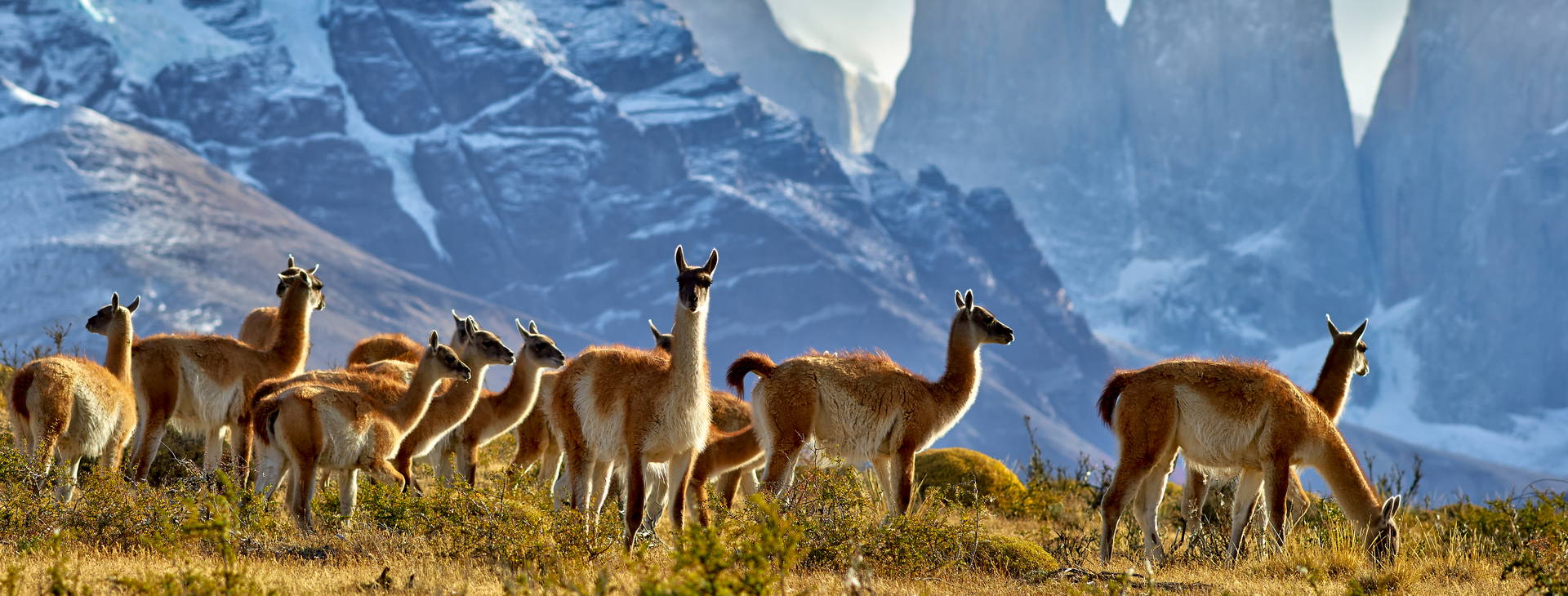 Ubytování ARP Obrázek0