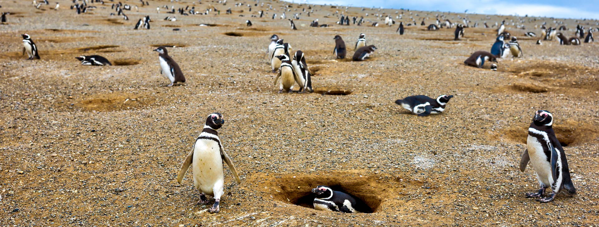 Ubytování ARP Obrázek4