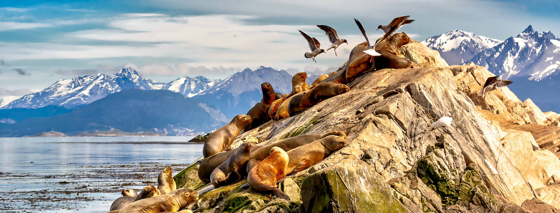 Ubytování ARP Obrázek16