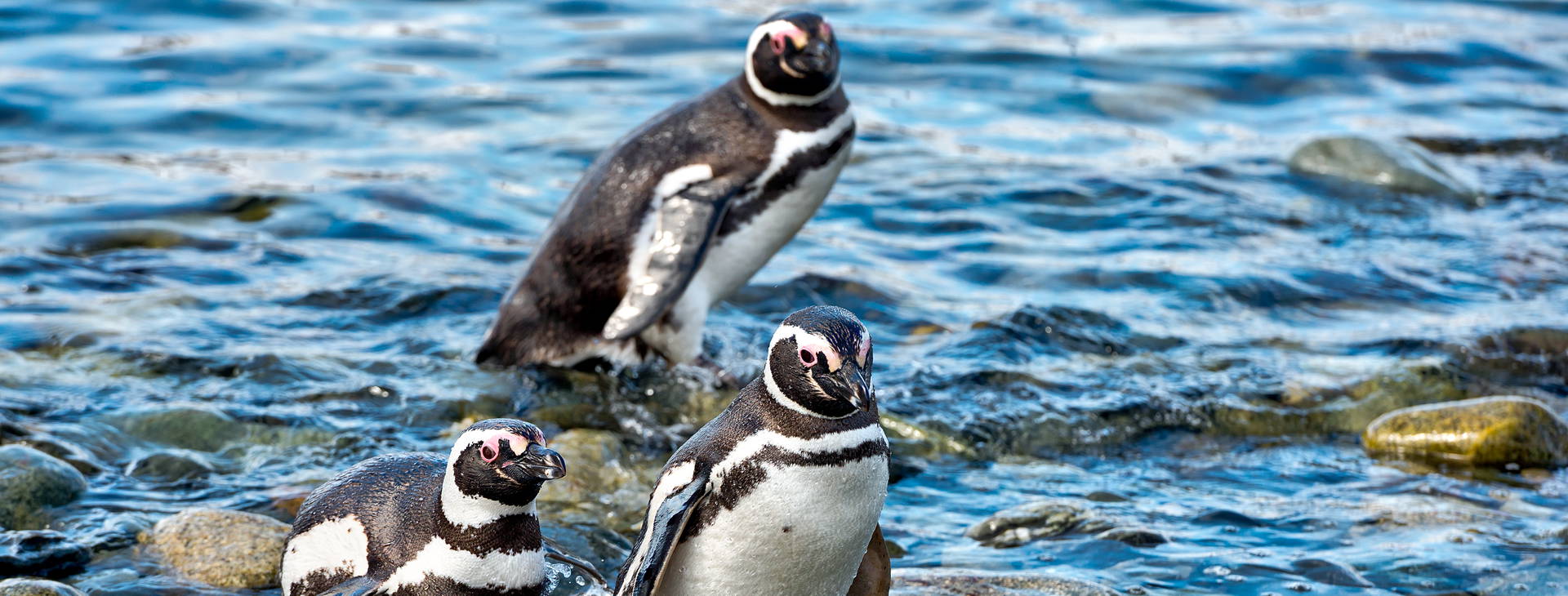 Ubytování ARP Obrázek25