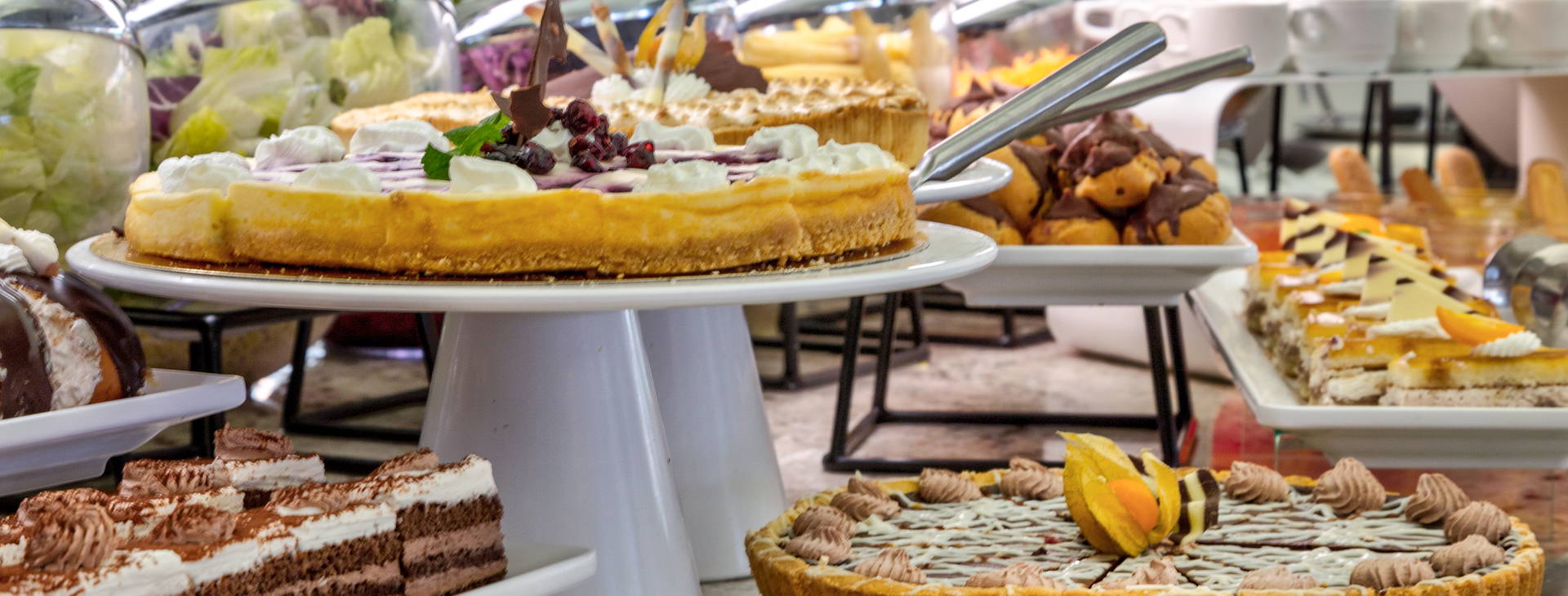 Melia Benidorm Obrázek14