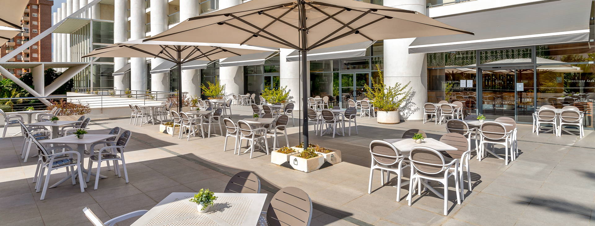 Melia Benidorm Obrázek20