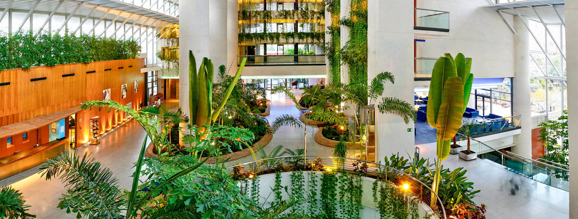 Melia Benidorm Obrázek28