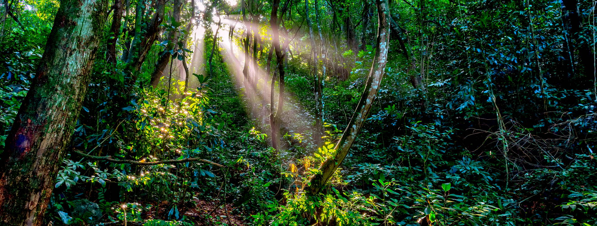 Ubytování BIN Obrázek6