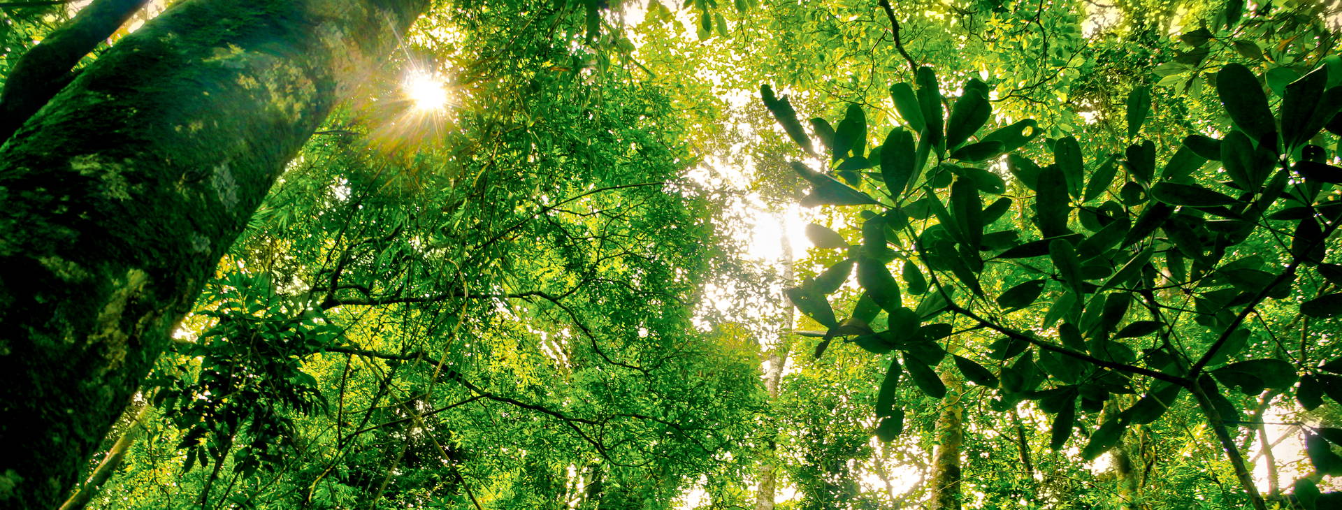 Ubytování BIN Obrázek10