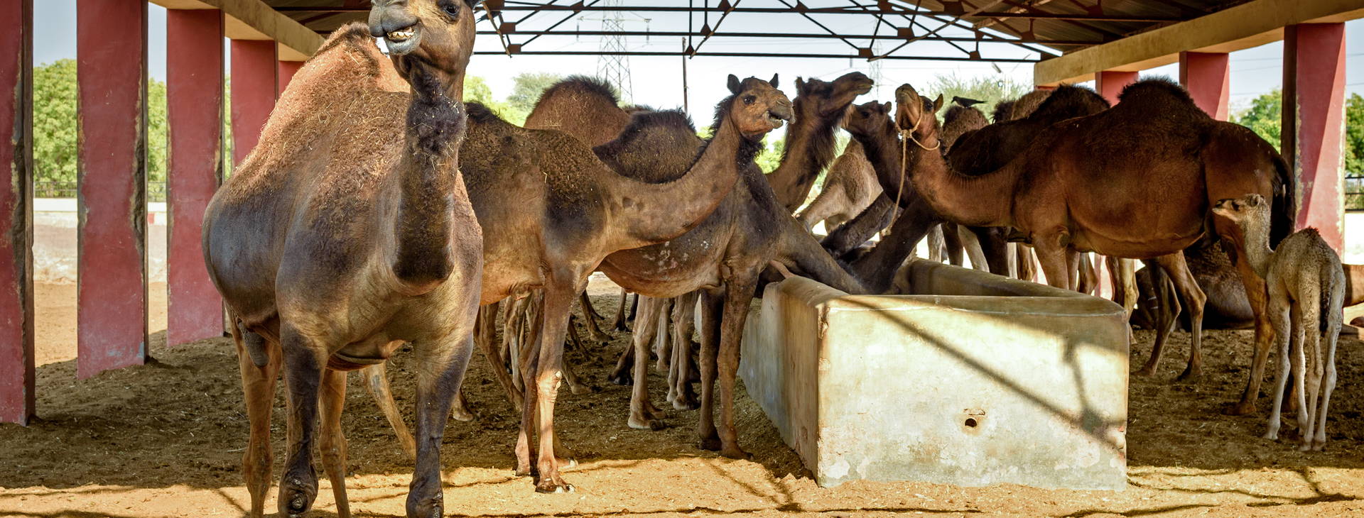 Ubytování ARK Obrázek8