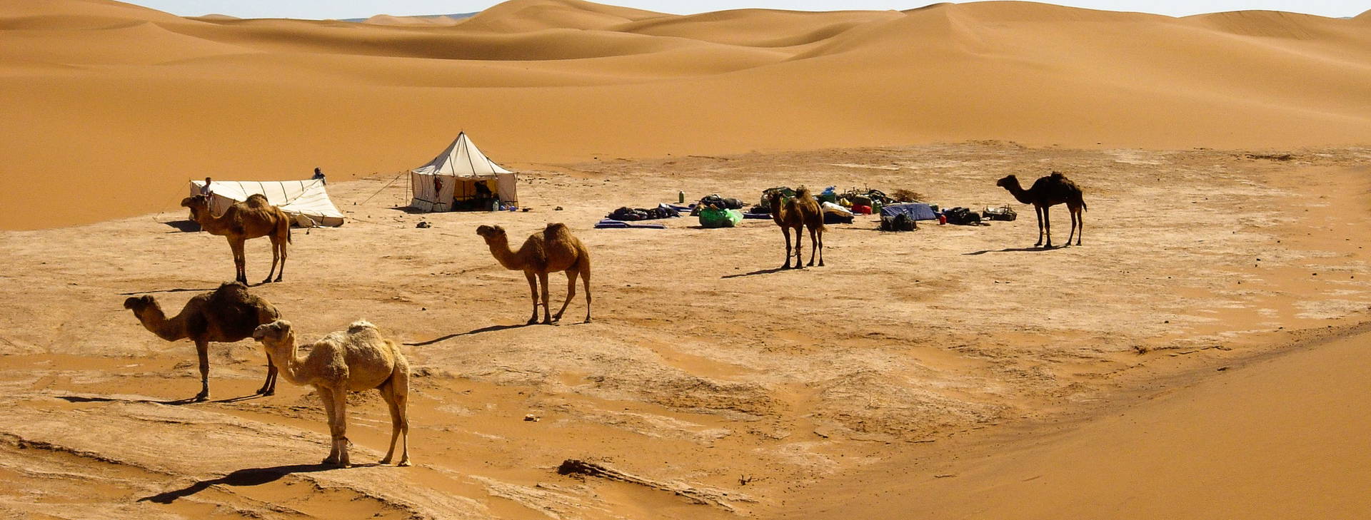 Ubytování GMS Obrázek3