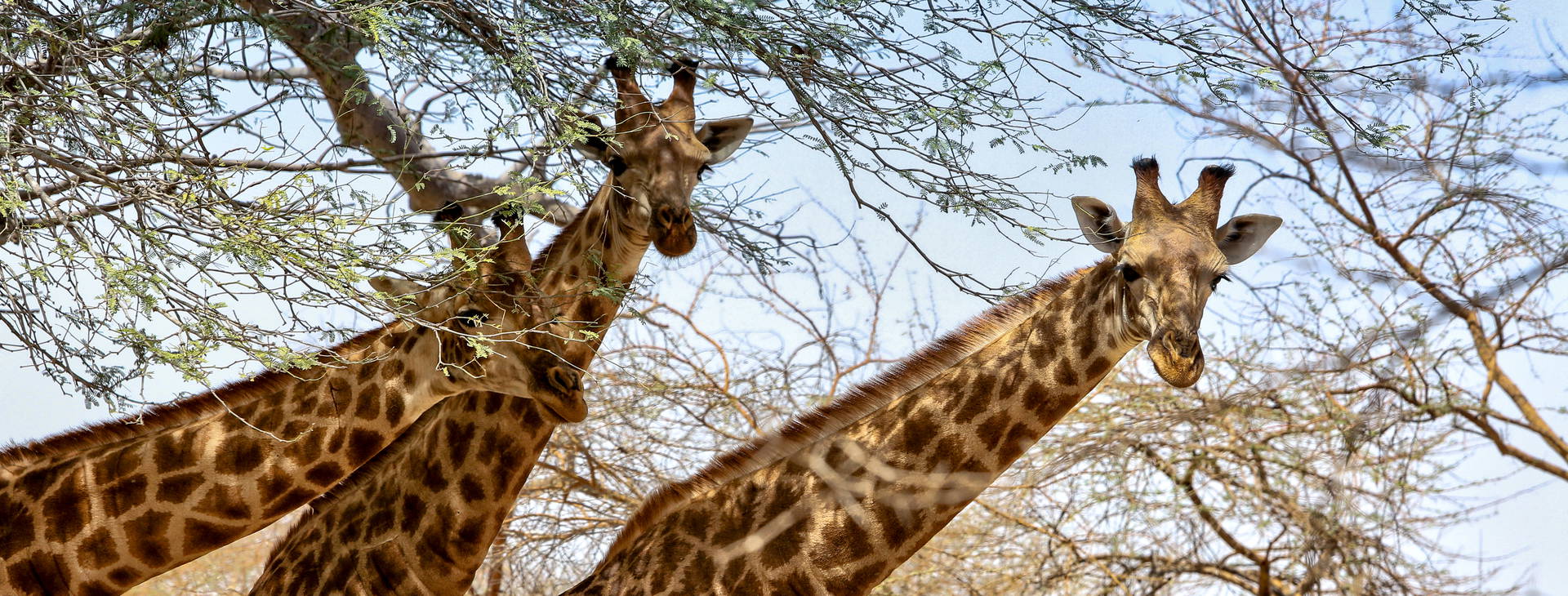 Ubytování GMS Obrázek7