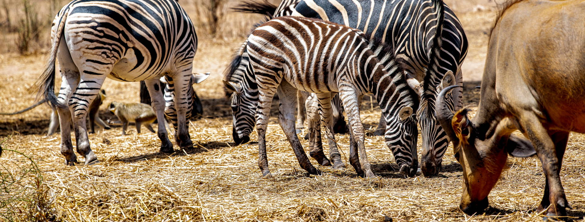 Ubytování GMS Obrázek9