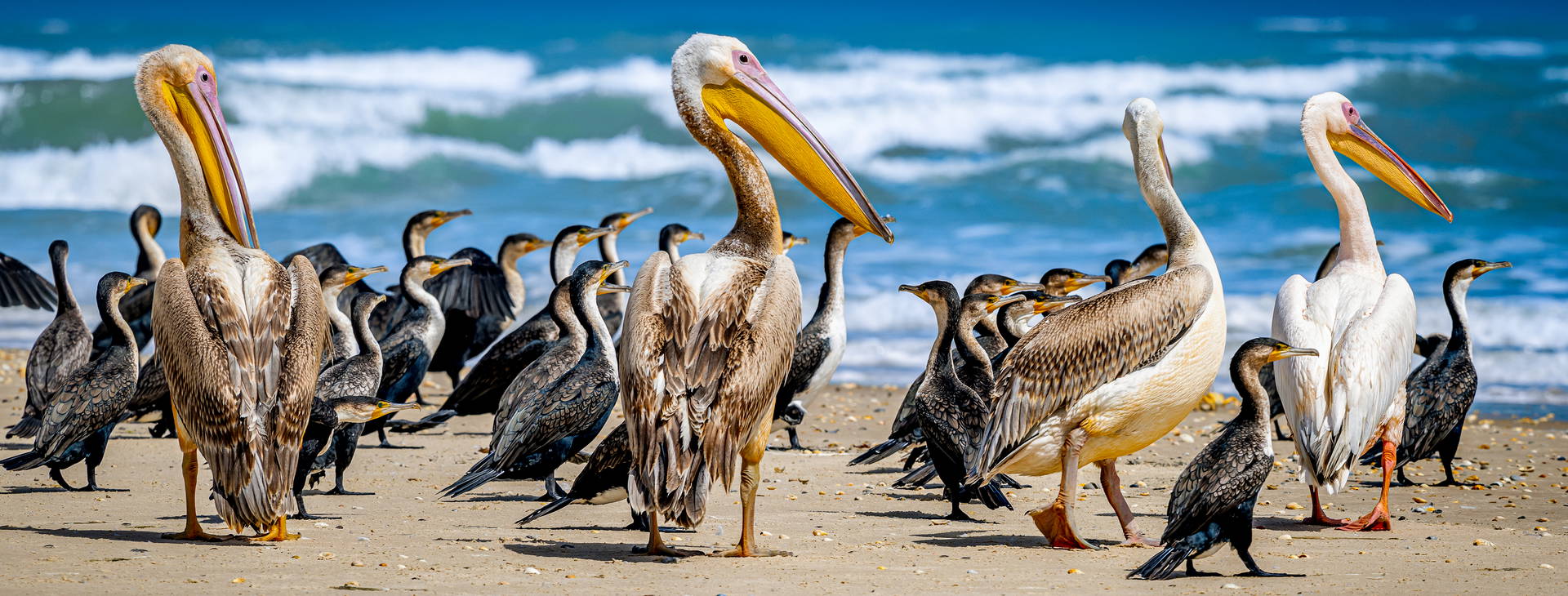 Ubytování GMS Obrázek13