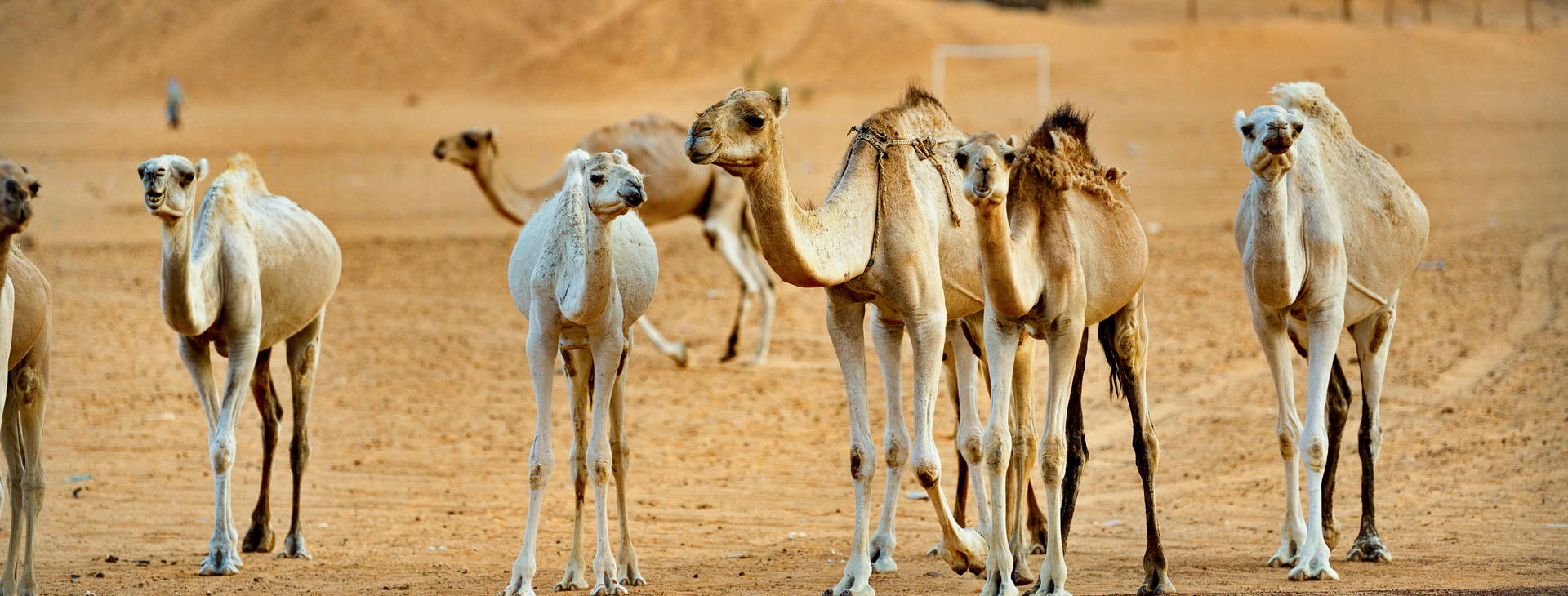 Ubytování GMS Obrázek16