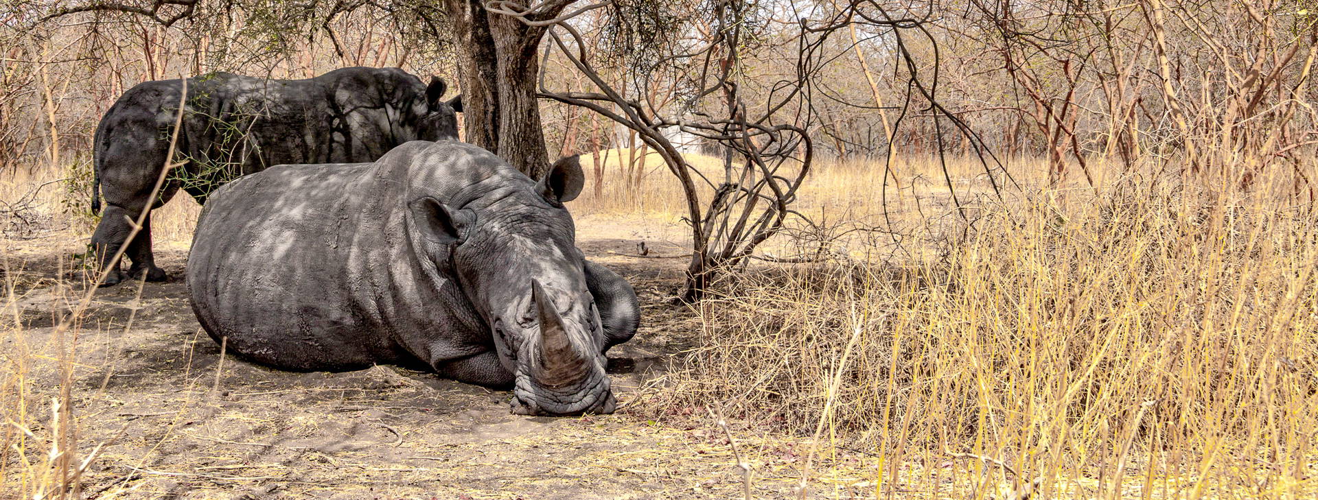 Ubytování GMS Obrázek18
