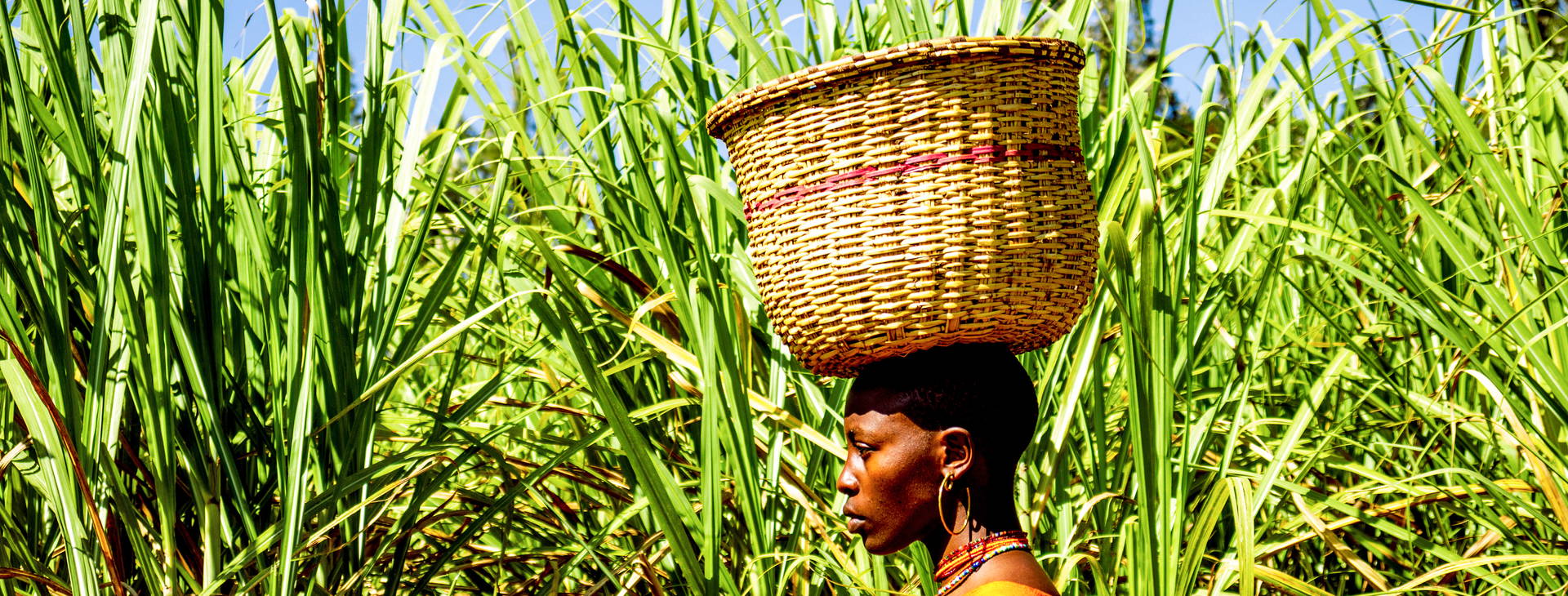 Ubytování GMS Obrázek23