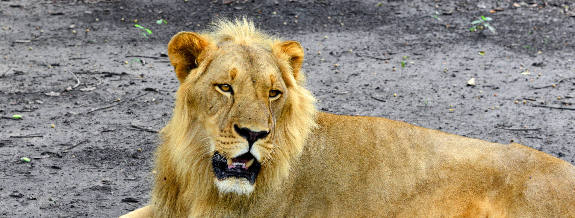 Ubytování GMS Obrázek29