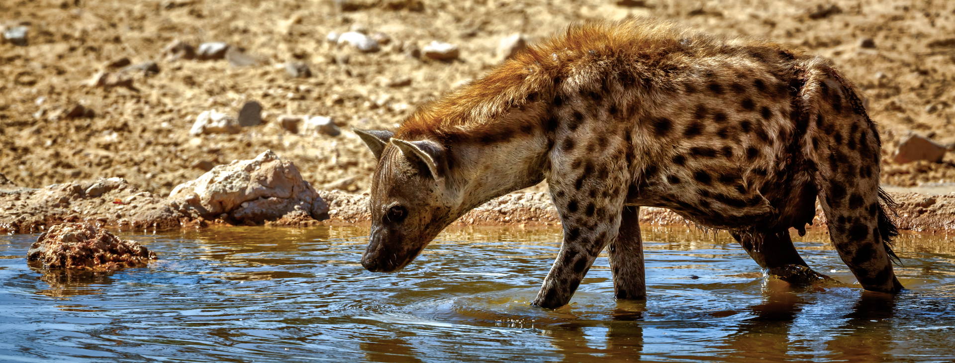 Ubytování GMS Obrázek32