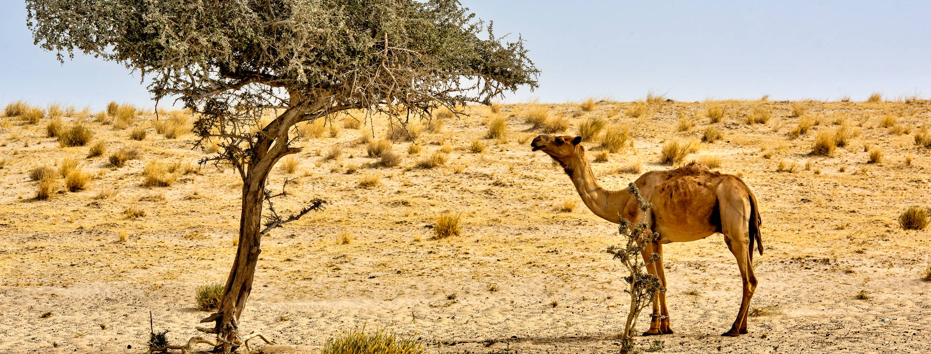 Ubytování GMS Obrázek37