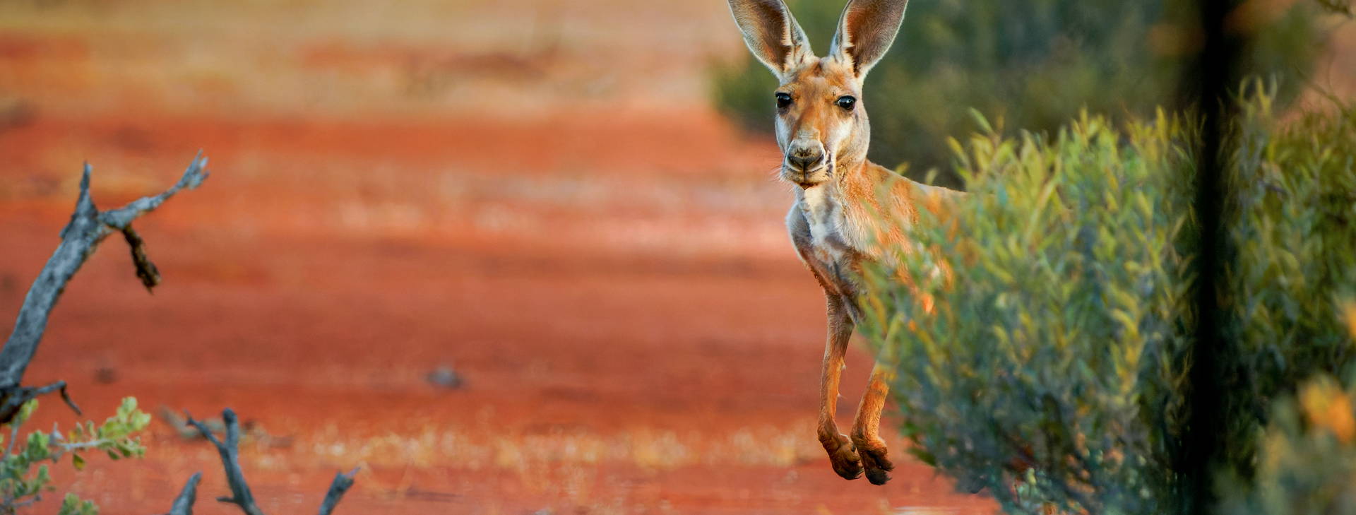 Ubytování AUC Obrázek4