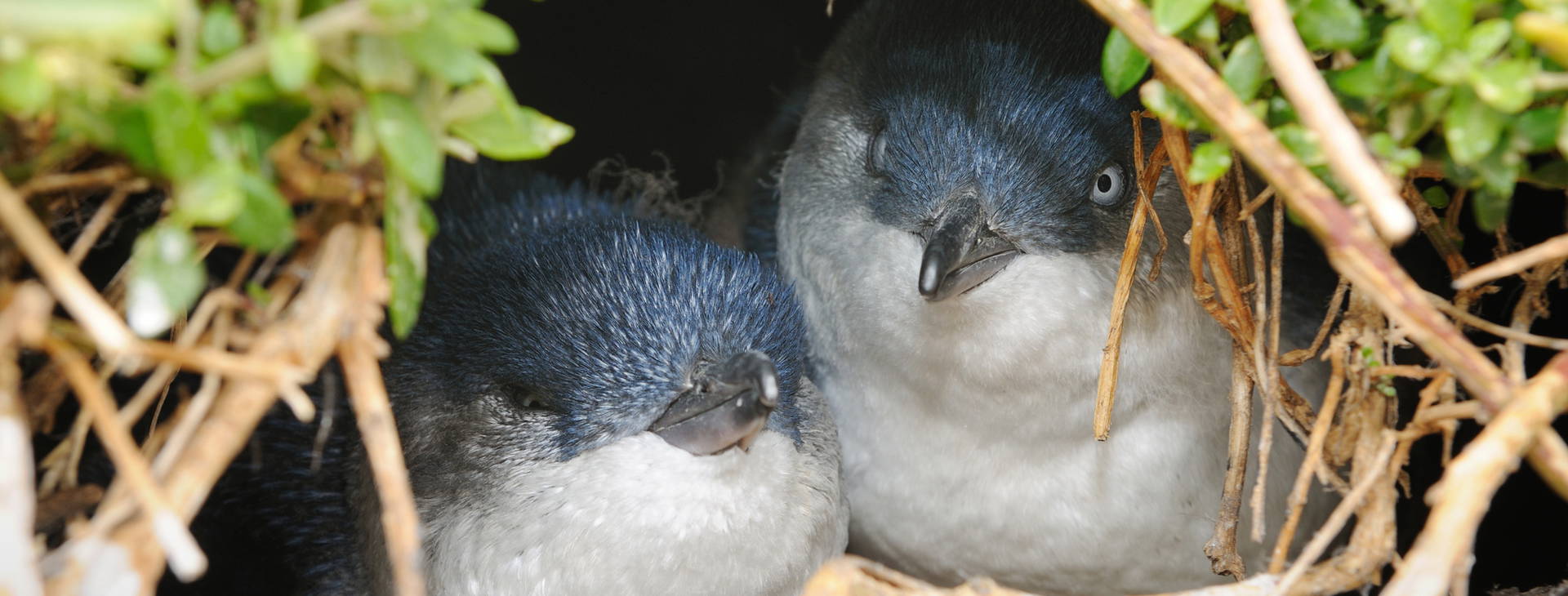 Ubytování AUC Obrázek15