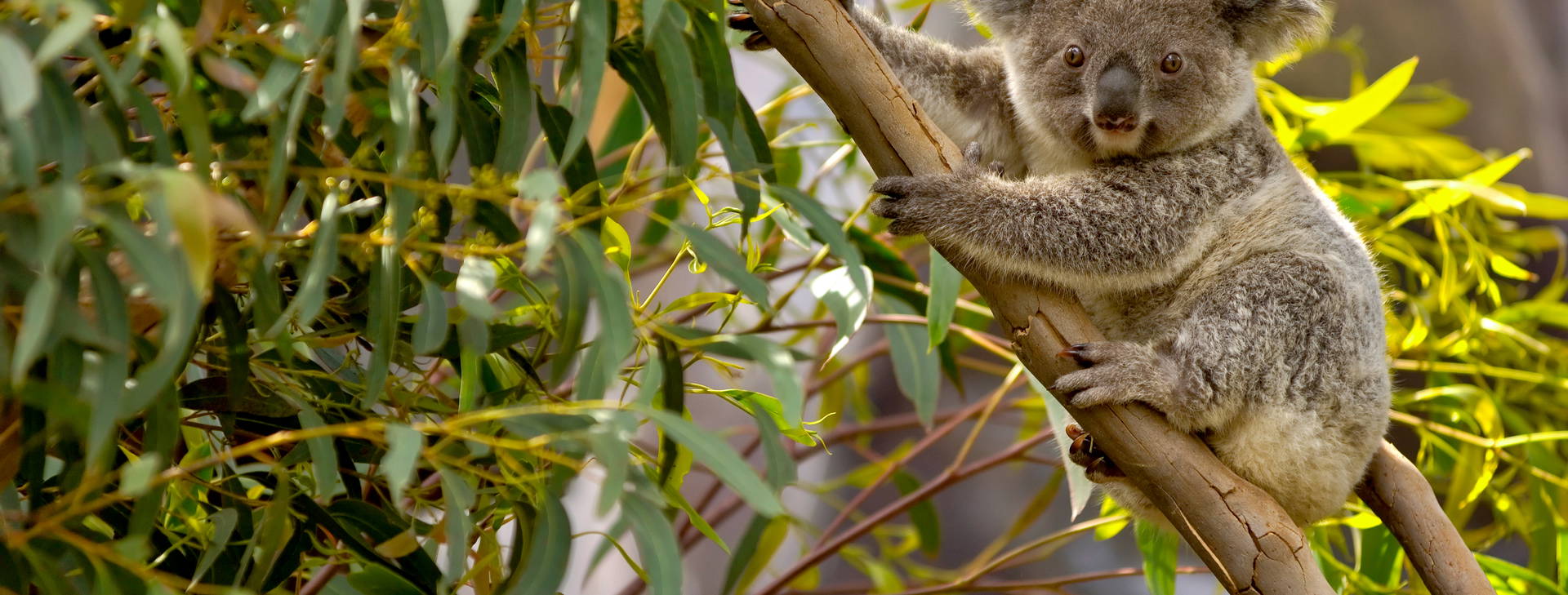 Ubytování AUC Obrázek16