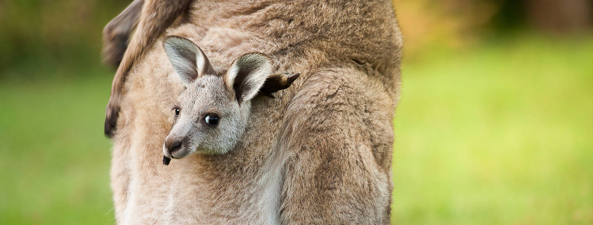 Ubytování AUC Obrázek20