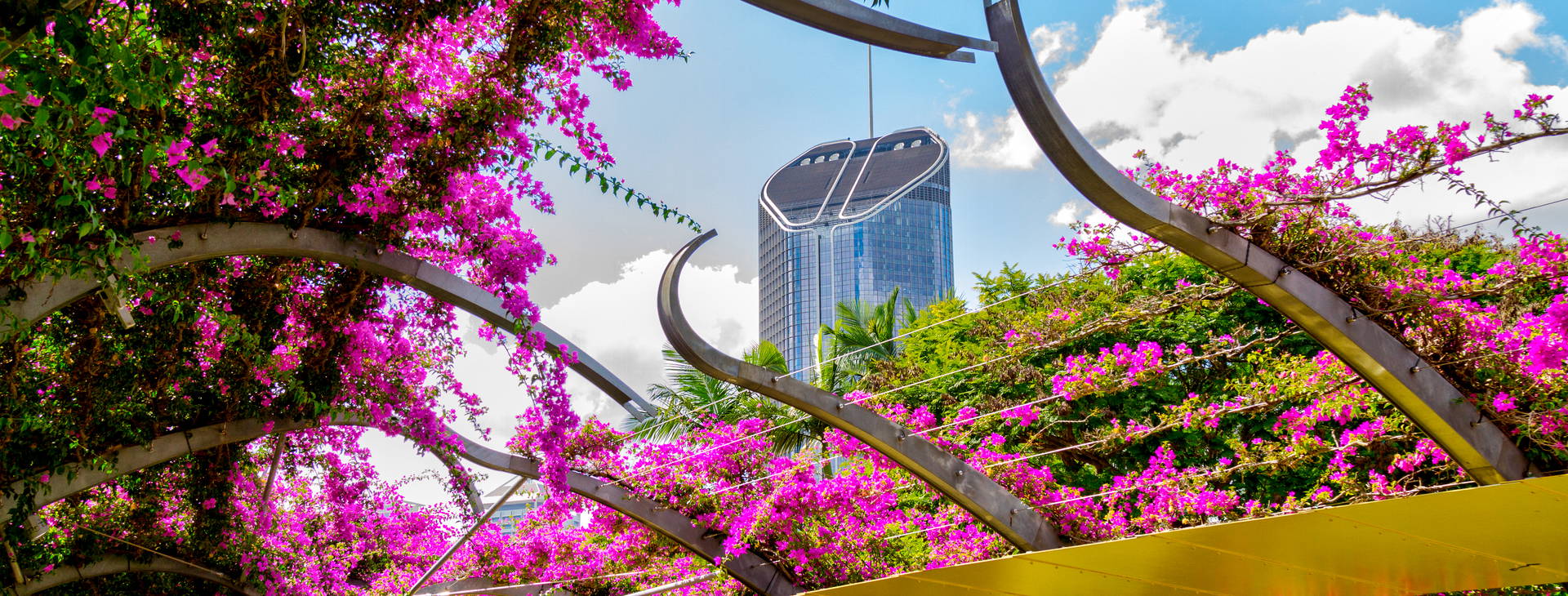 Ubytování AUC Obrázek19