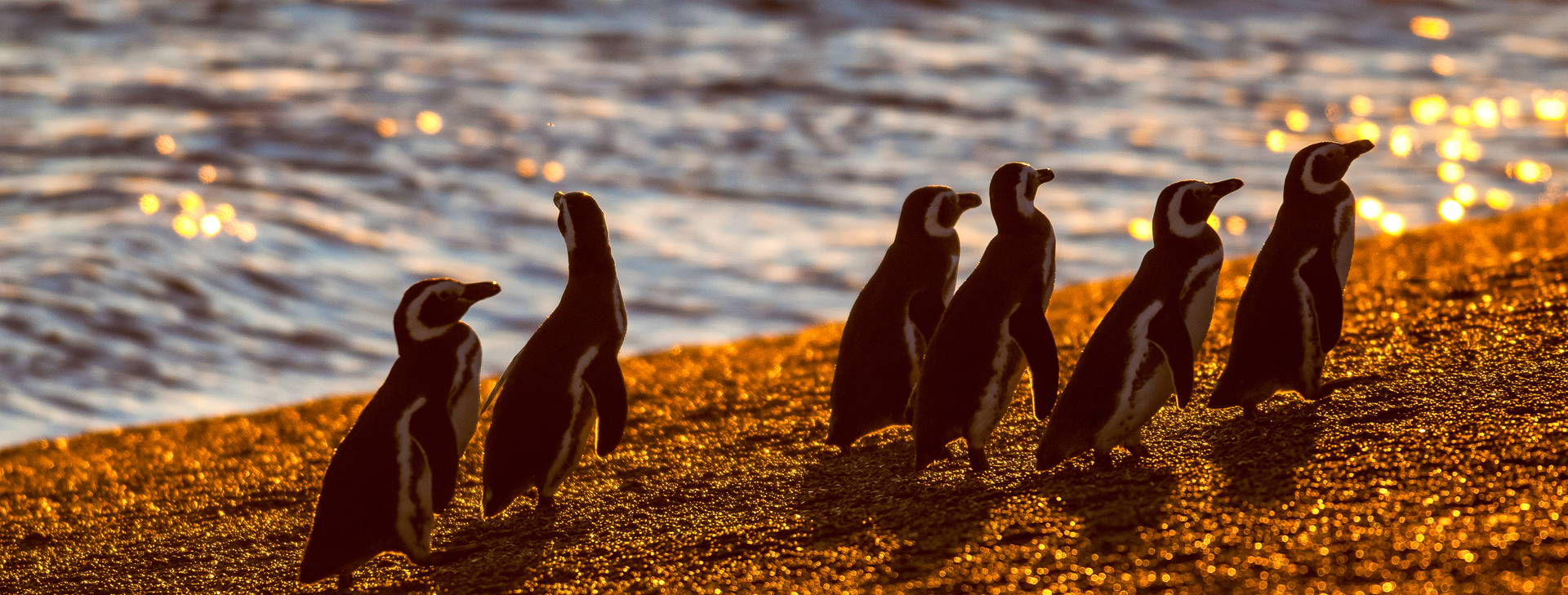Ubytování AUC Obrázek21