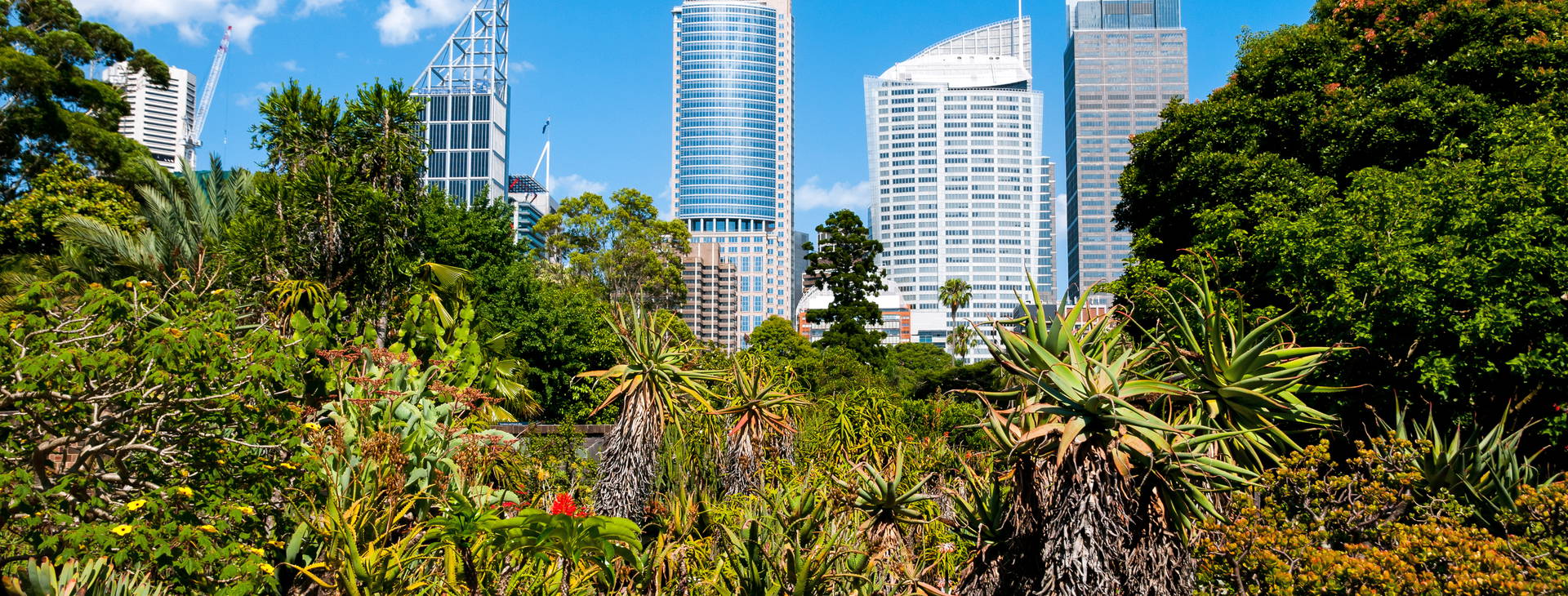 Ubytování AUC Obrázek29