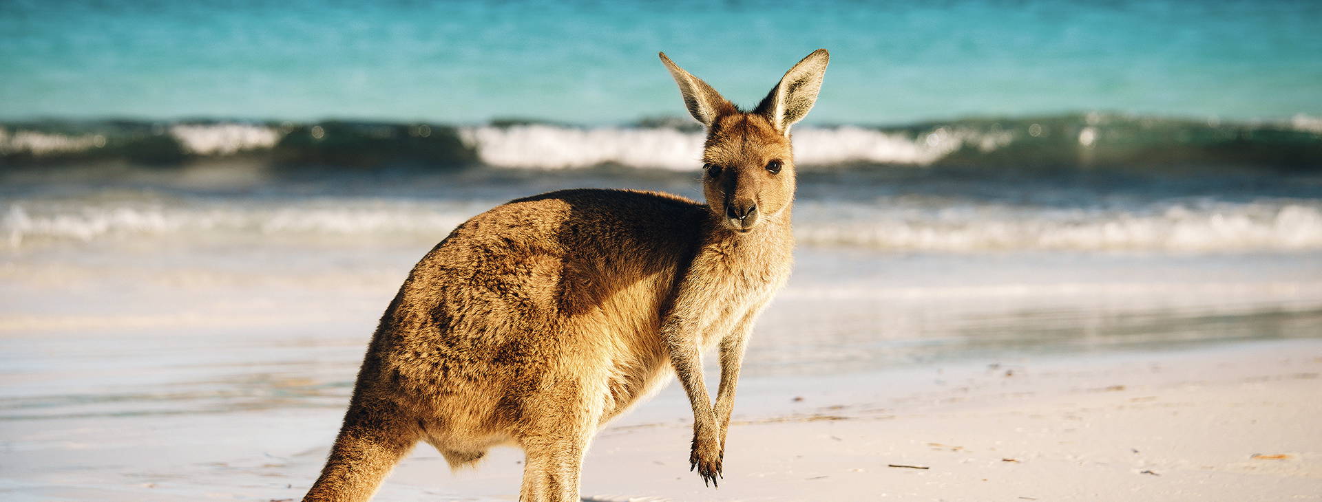 Ubytování AUN Obrázek21