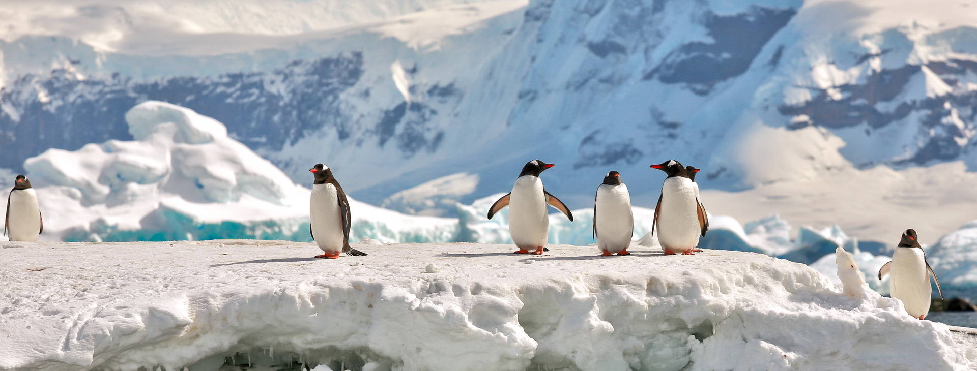 Ubytování ANT (Norwegian Star) Obrázek10