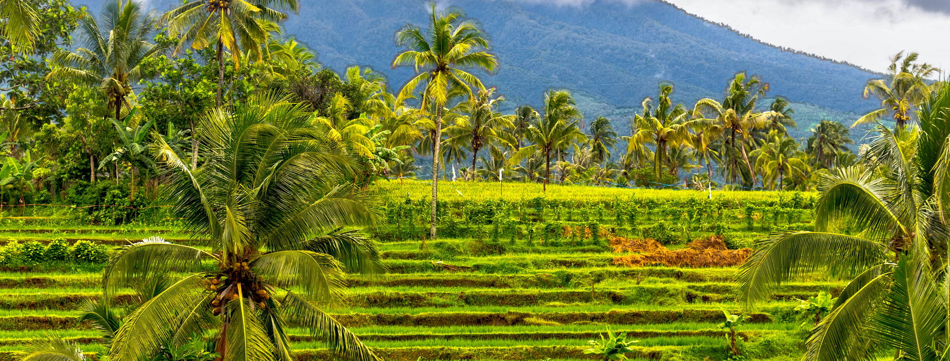 Ubytování JLS Obrázek2