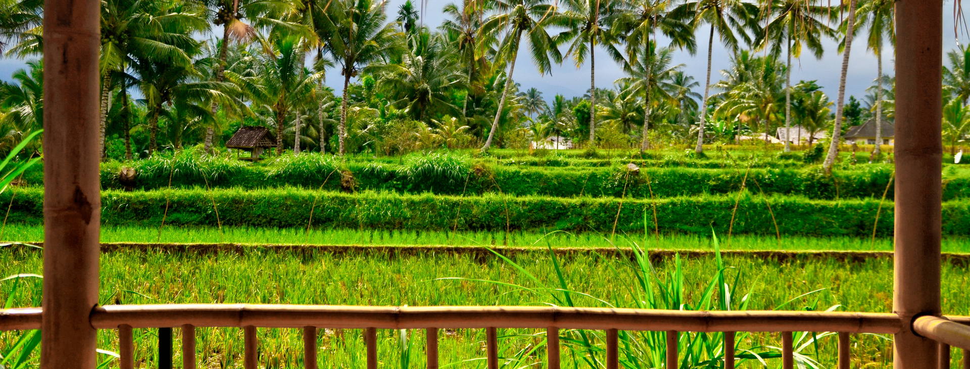 Ubytování JLS Obrázek4