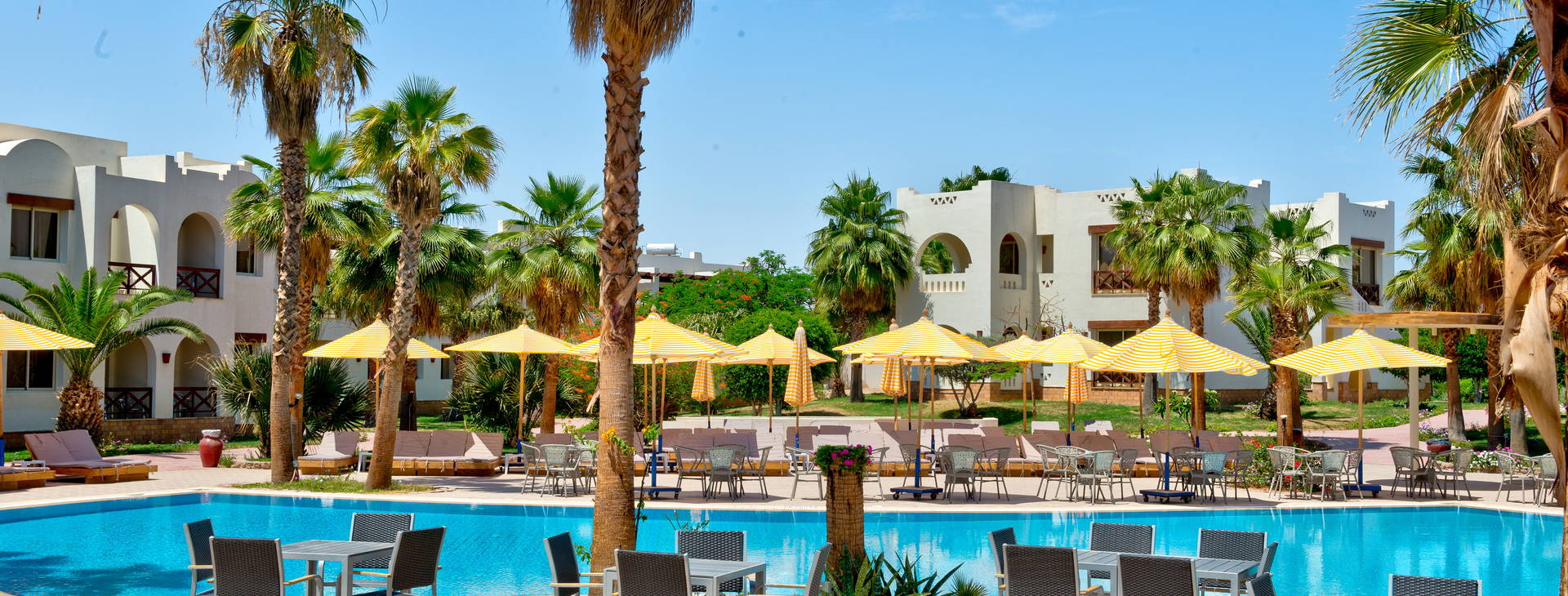 Amphoras Aqua (ex. Shores Golden) Obrázek6