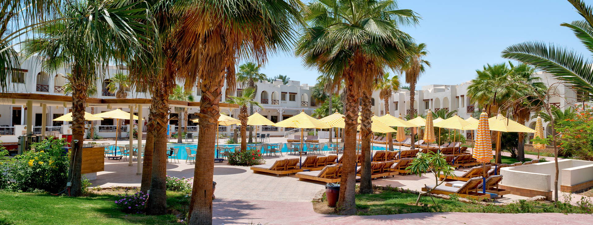 Amphoras Aqua (ex. Shores Golden) Obrázek13