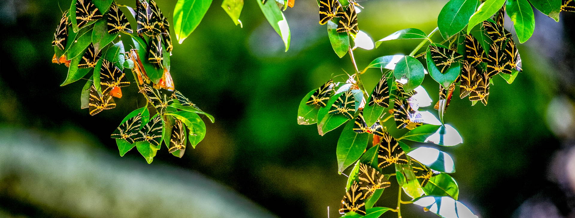 Ubytování RDR Obrázek13