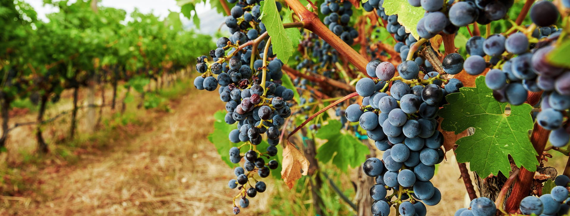 Ubytování RDR Obrázek9