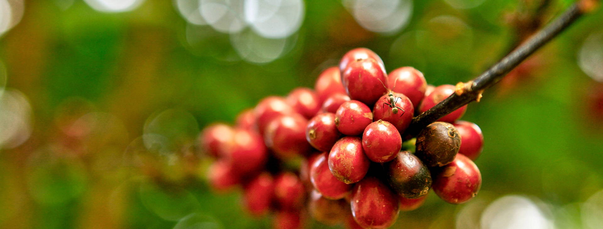 Ubytování KMB Obrázek9