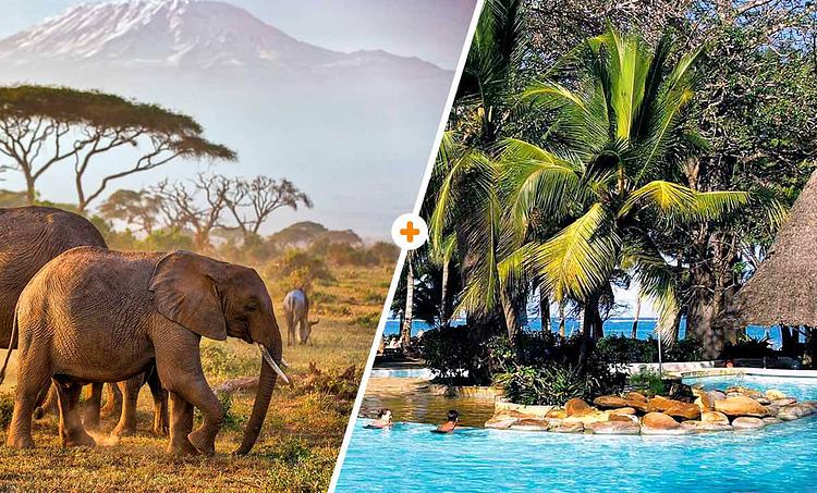 Papillon Lagoon Reef KST-obr