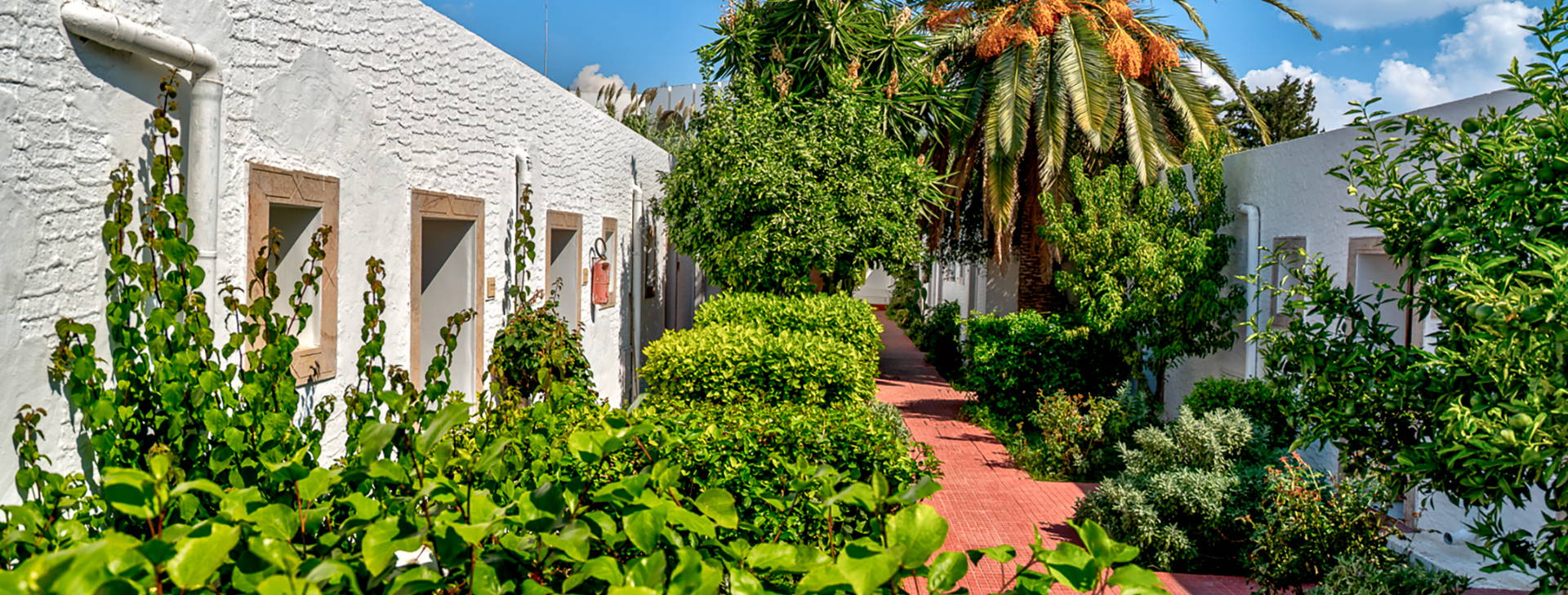 Le Hammamet Hotel & Spa Obrázek10