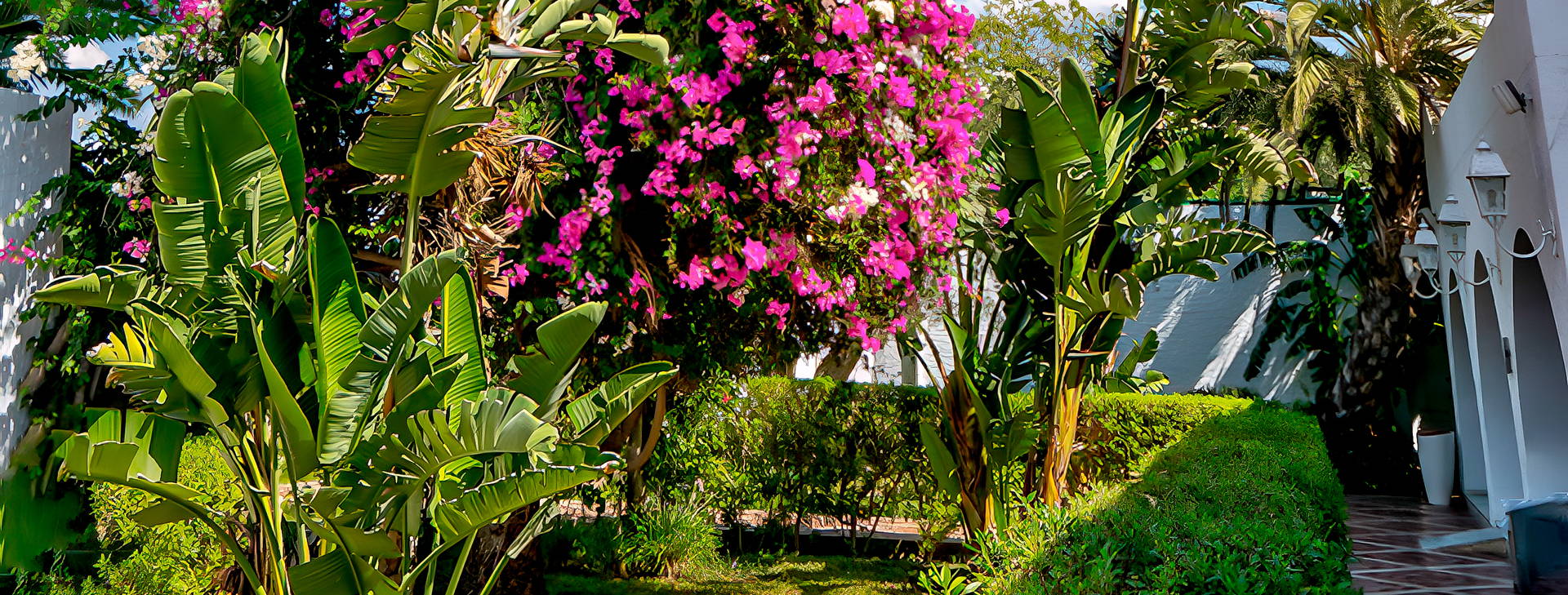 Le Hammamet Hotel & Spa Obrázek13