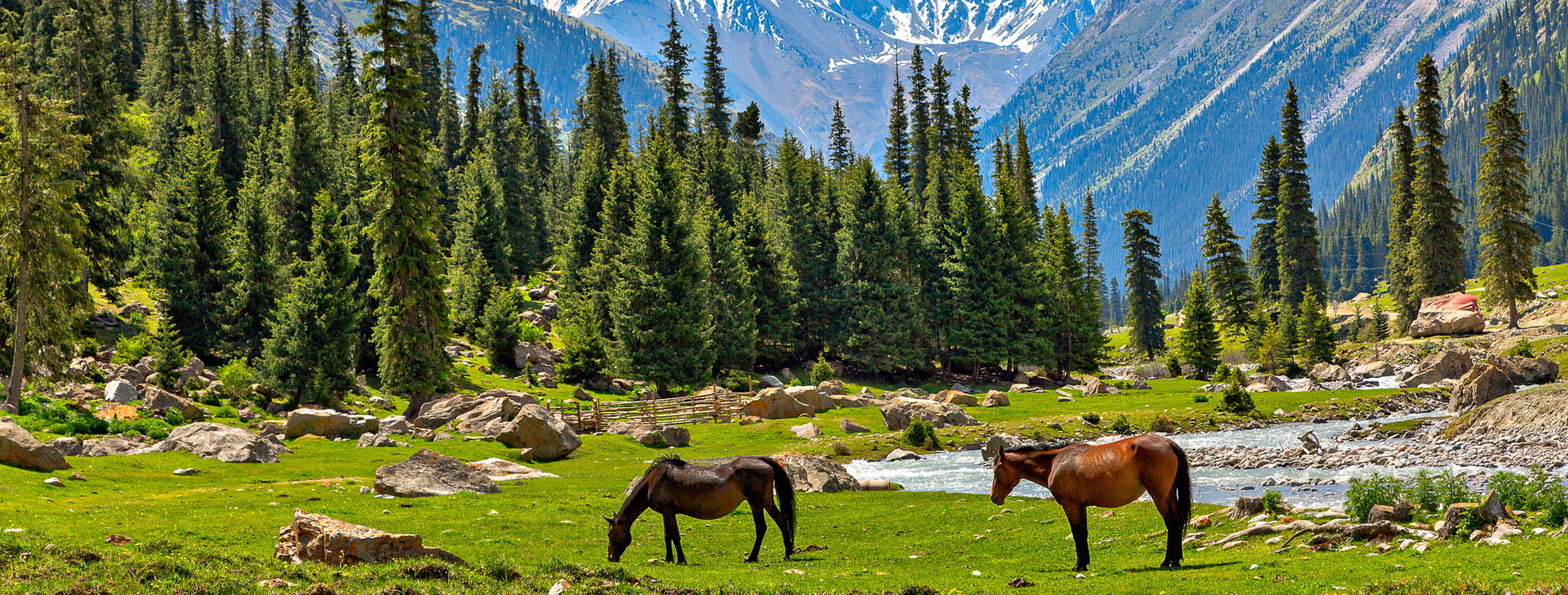 Ubytování KIS Obrázek10