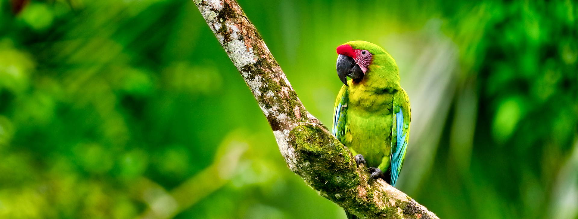 Ubytování PKN Obrázek4