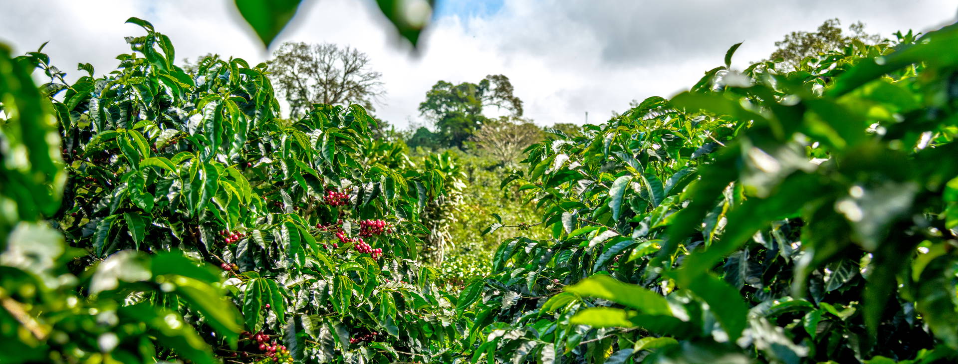 Ubytování PKN Obrázek17
