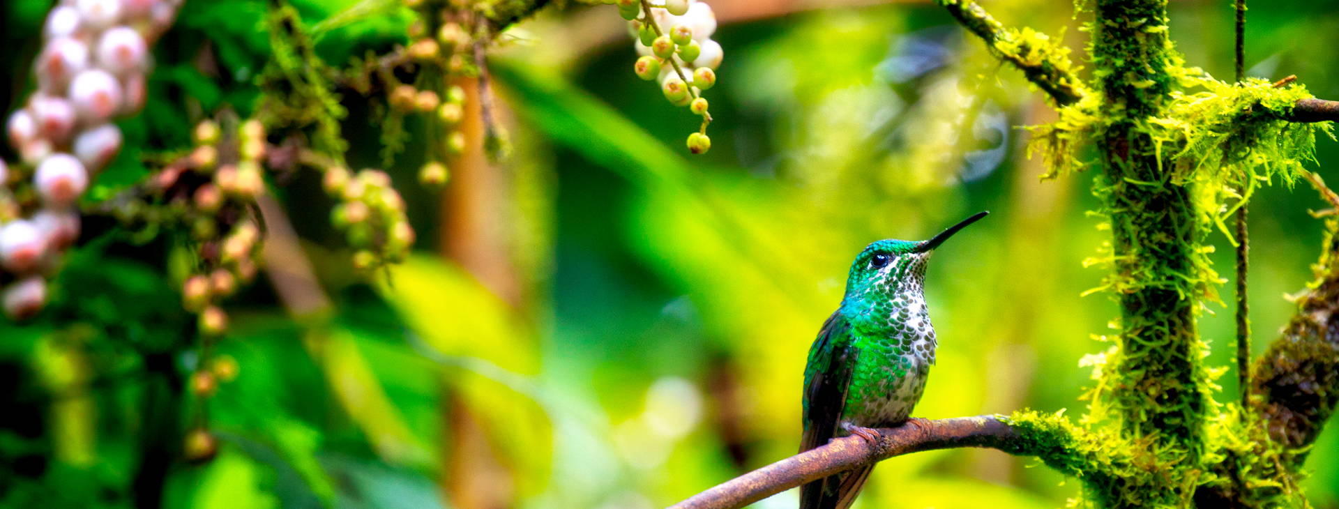 Ubytování PKN Obrázek15