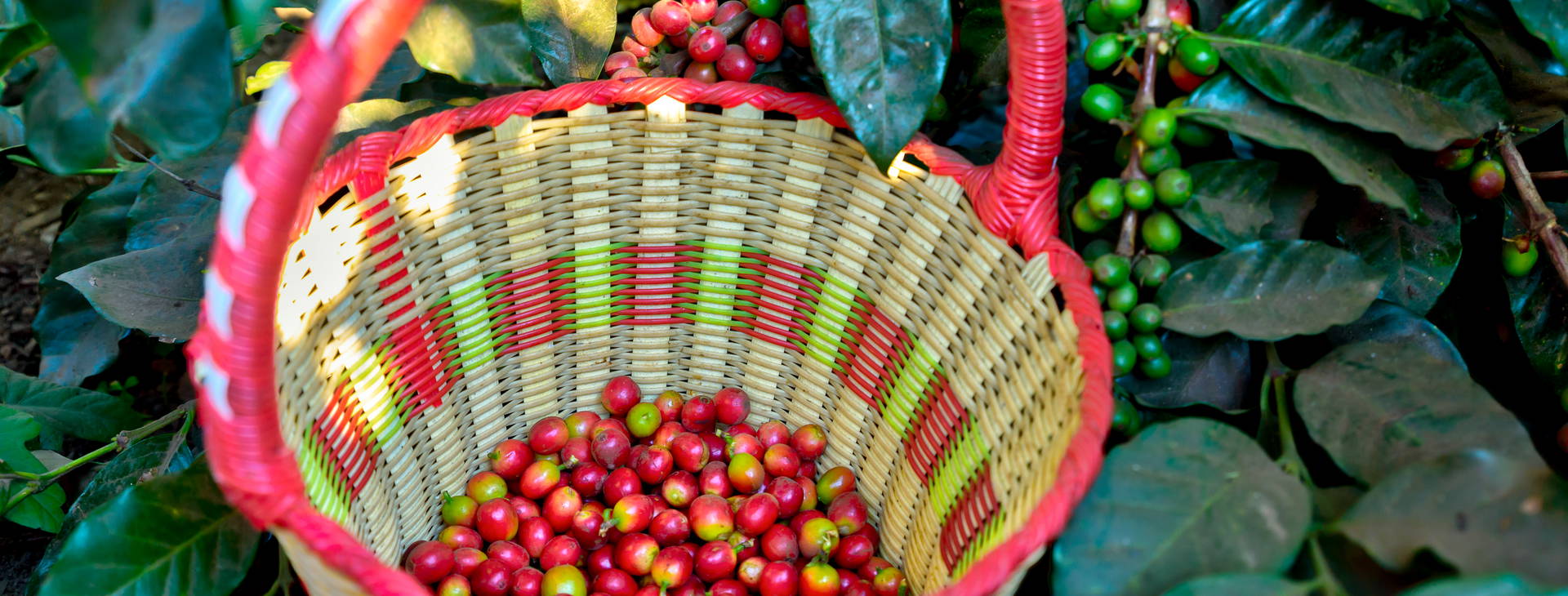 Ubytování PKN Obrázek27